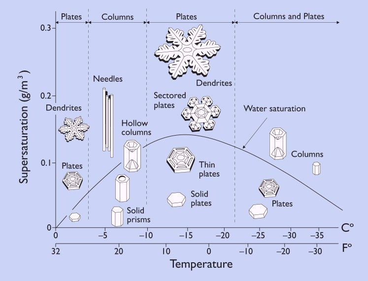 Fig. 1—The shape of snow particles is dependent on temperature and moisture content.