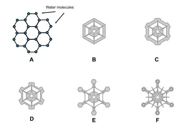 An Introduction to Snow Dynamics