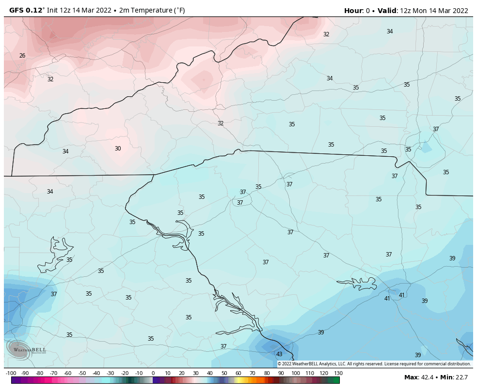 Fig. 4— WeatherBELL local map, Greenville-Spartanburg, showing 2m temperatures.